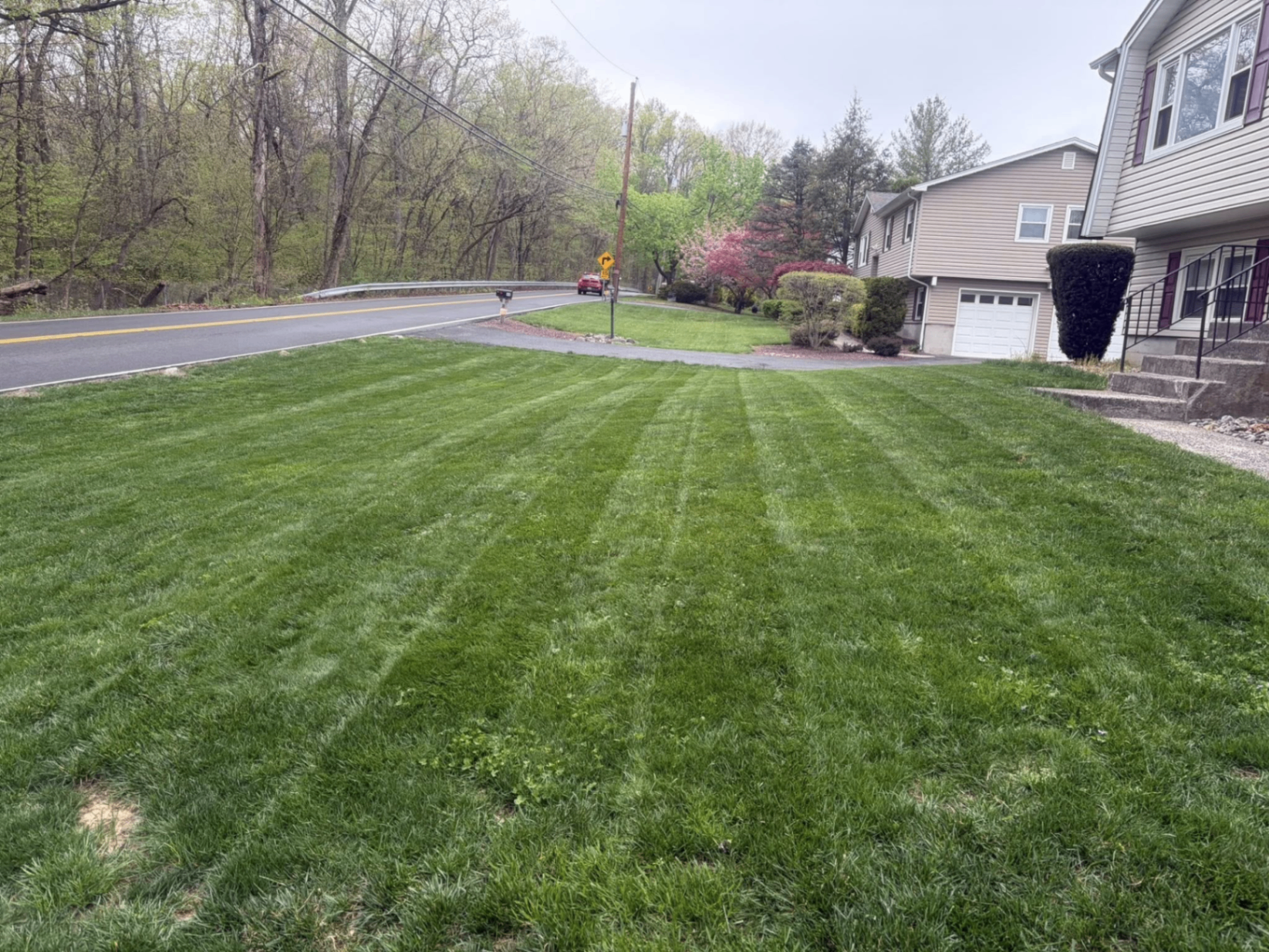 Striped front yard